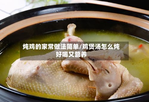 炖鸡的家常做法简单/鸡煲汤怎么炖好喝又营养