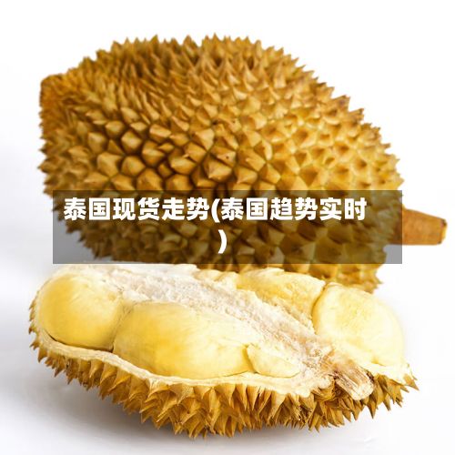 泰国现货走势(泰国趋势实时)