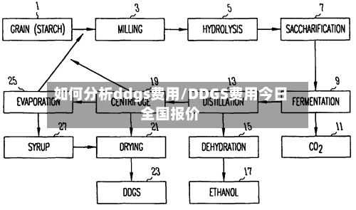 如何分析ddgs费用/DDGS费用今日全国报价-第3张图片
