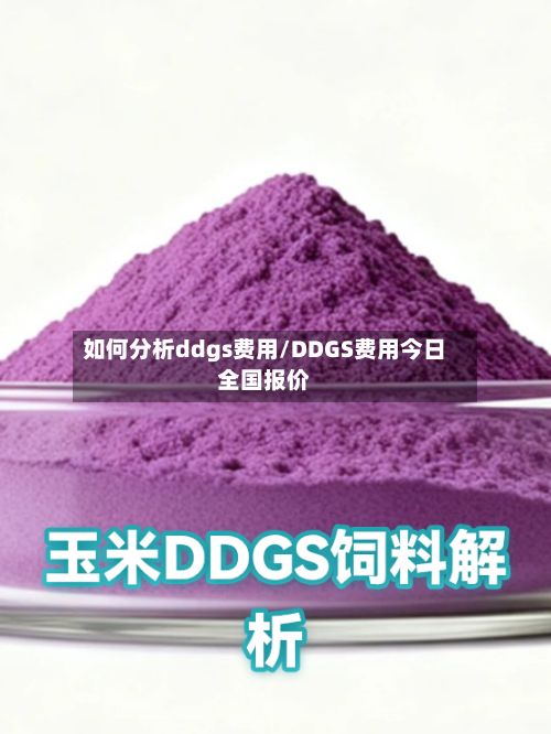 如何分析ddgs费用/DDGS费用今日全国报价