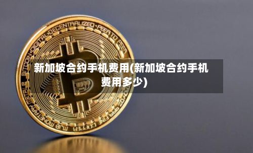 新加坡合约手机费用(新加坡合约手机费用多少)-第2张图片