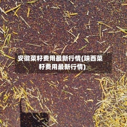 安徽菜籽费用最新行情(陕西菜籽费用最新行情)