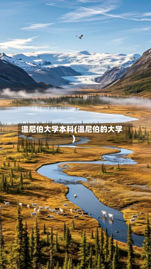 温尼伯大学本科(温尼伯的大学)-第2张图片