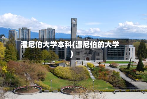 温尼伯大学本科(温尼伯的大学)