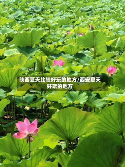 陕西夏天比较好玩的地方/西安夏天好玩的地方