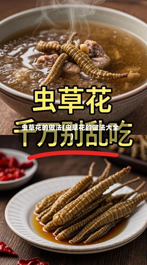 虫草花的做法(虫草花的做法大全)