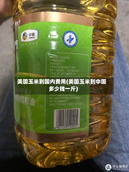 美国玉米到国内费用(美国玉米到中国多少钱一斤)