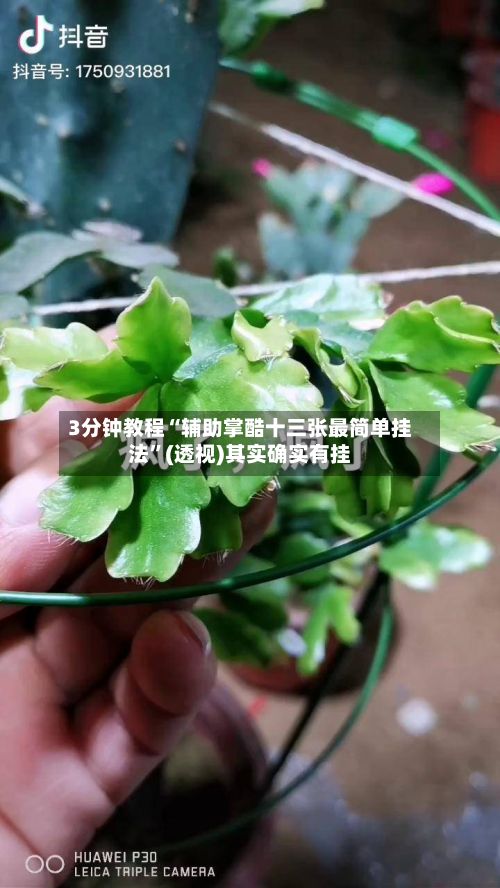3分钟教程“辅助掌酷十三张最简单挂法	”(透视)其实确实有挂-第3张图片