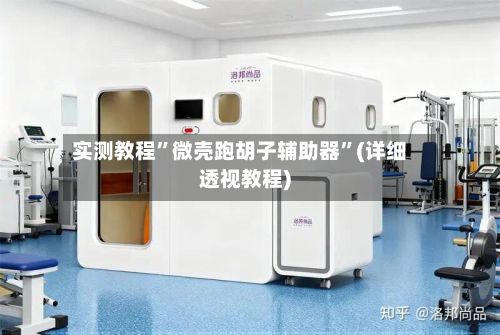 实测教程	”微壳跑胡子辅助器”(详细透视教程)-第2张图片