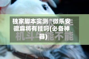 独家脚本实测“微乐安徽麻将有挂吗(必备神器)-第2张图片