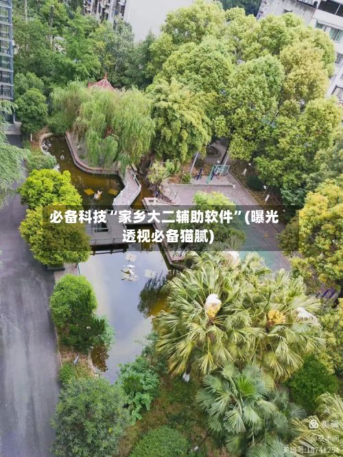必备科技“家乡大二辅助软件	”(曝光透视必备猫腻)-第2张图片