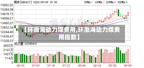 【环渤海动力煤费用,环渤海动力煤费用指数】