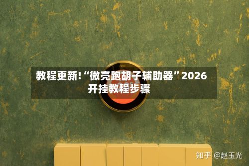 教程更新!“微壳跑胡子辅助器”2026开挂教程步骤