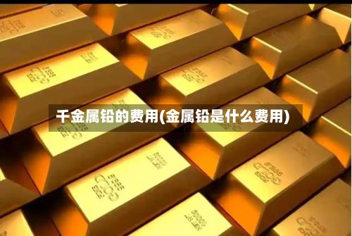 千金属铅的费用(金属铅是什么费用)-第2张图片