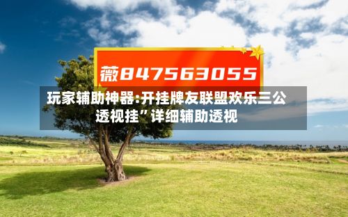 玩家辅助神器:开挂牌友联盟欢乐三公透视挂”详细辅助透视-第2张图片