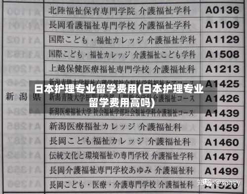 日本护理专业留学费用(日本护理专业留学费用高吗)-第3张图片