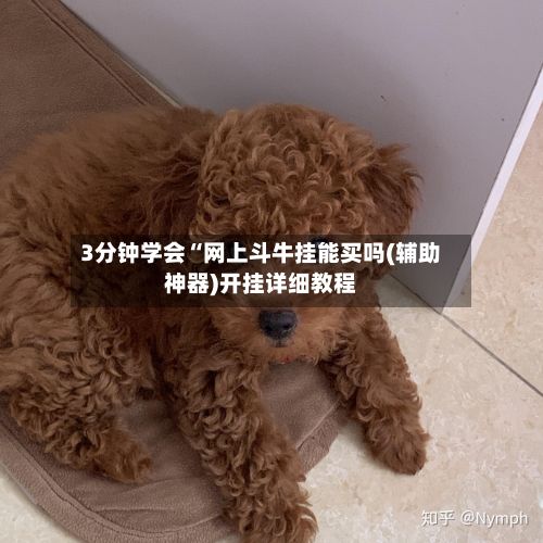 3分钟学会“网上斗牛挂能买吗(辅助神器)开挂详细教程
