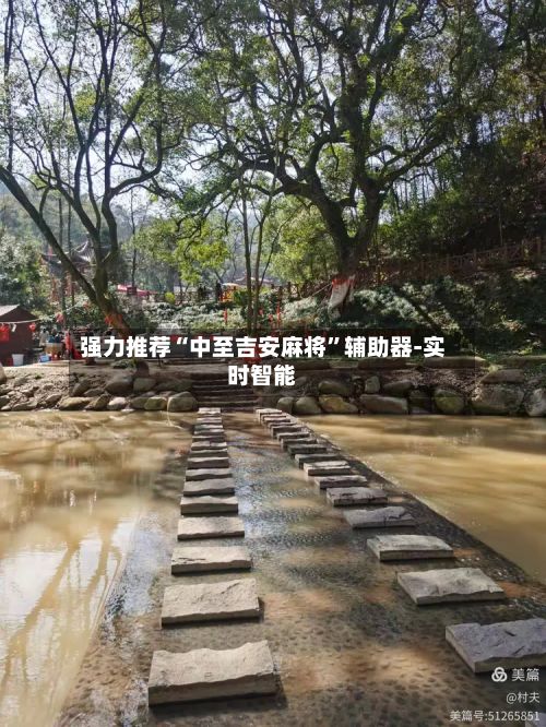 强力推荐“中至吉安麻将”辅助器-实时智能-第3张图片