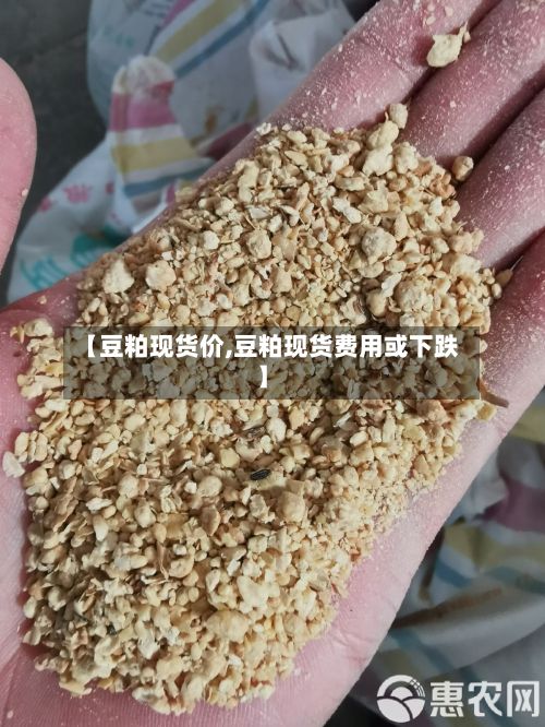 【豆粕现货价,豆粕现货费用或下跌】