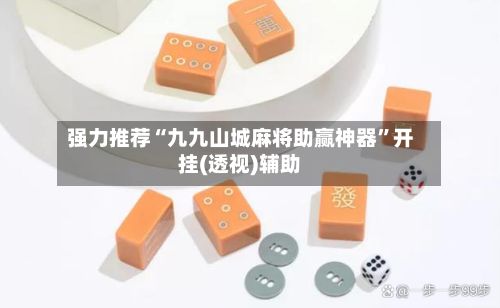 强力推荐“九九山城麻将助赢神器”开挂(透视)辅助-第2张图片