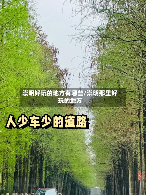 崇明好玩的地方有哪些/崇明那里好玩的地方
