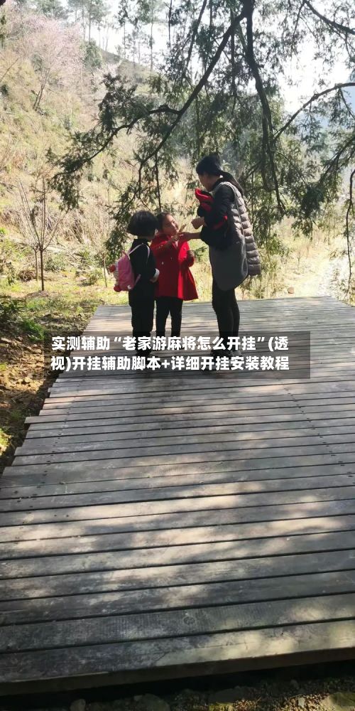 实测辅助“老家游麻将怎么开挂”(透视)开挂辅助脚本+详细开挂安装教程-第2张图片