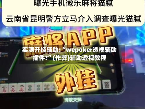 实测开挂辅助:“wepoker透视辅助插件?”(作弊)辅助透视教程-第3张图片