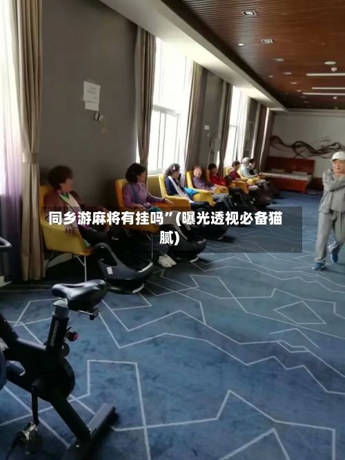 同乡游麻将有挂吗”(曝光透视必备猫腻)-第2张图片