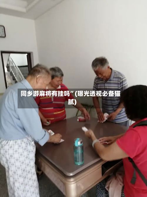 同乡游麻将有挂吗	”(曝光透视必备猫腻)-第3张图片