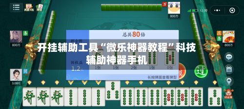 开挂辅助工具“微乐神器教程	”科技辅助神器手机-第2张图片