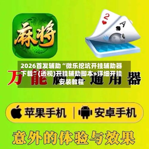 2026首发辅助“微乐挖坑开挂辅助器下载”(透视)开挂辅助脚本+详细开挂安装教程-第3张图片