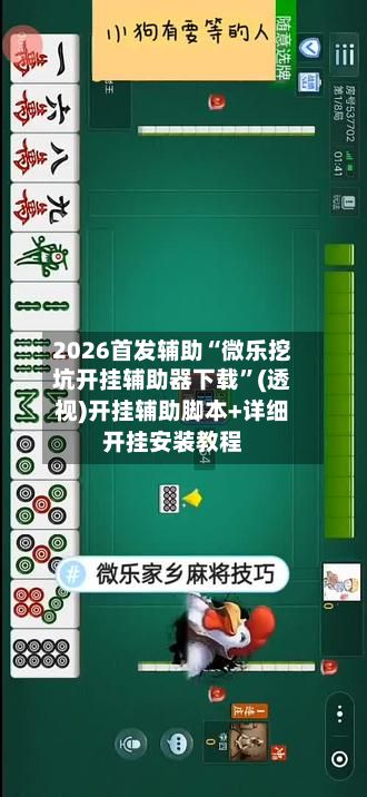 2026首发辅助“微乐挖坑开挂辅助器下载	”(透视)开挂辅助脚本+详细开挂安装教程-第2张图片