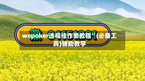 wepoker透视挂作弊教程	”(必备工具)辅助教学-第3张图片