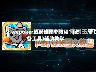 wepoker透视挂作弊教程”(必备工具)辅助教学-第2张图片