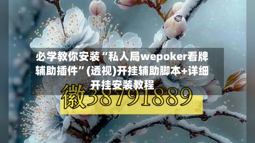 必学教你安装“私人局wepoker看牌辅助插件	”(透视)开挂辅助脚本+详细开挂安装教程-第2张图片