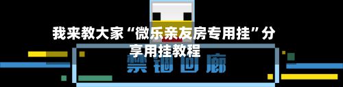 我来教大家“微乐亲友房专用挂	”分享用挂教程-第2张图片