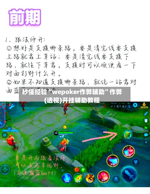秒懂经验“wepoker作弊辅助”作弊(透视)开挂辅助教程
