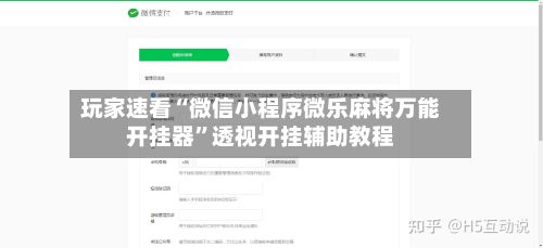 玩家速看“微信小程序微乐麻将万能开挂器	”透视开挂辅助教程-第3张图片