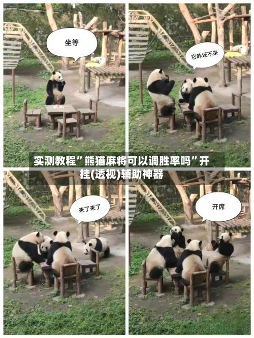 实测教程	”熊猫麻将可以调胜率吗”开挂(透视)辅助神器-第3张图片