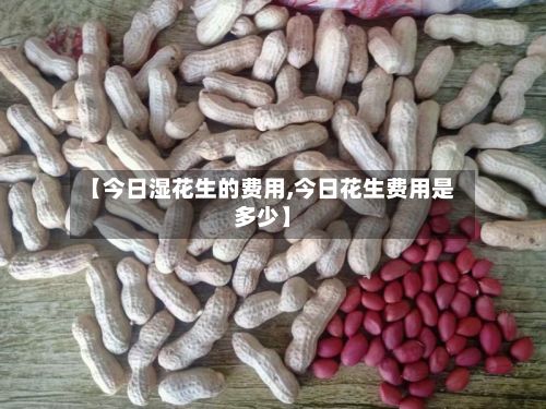 【今日湿花生的费用,今日花生费用是多少】-第2张图片