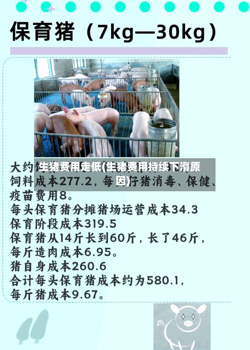 生猪费用走低(生猪费用持续下滑原因)-第3张图片
