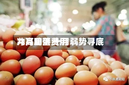 九月鸡蛋费用冲高回落 十月弱势寻底-第3张图片