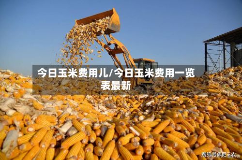 今日玉米费用儿/今日玉米费用一览表最新