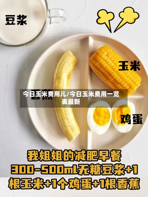 今日玉米费用儿/今日玉米费用一览表最新-第3张图片