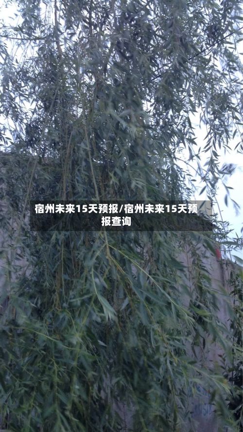 宿州未来15天预报/宿州未来15天预报查询-第2张图片
