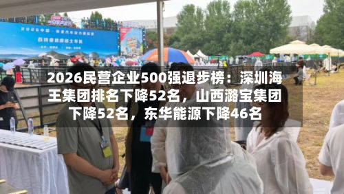 2026民营企业500强退步榜：深圳海王集团排名下降52名，山西潞宝集团下降52名，东华能源下降46名