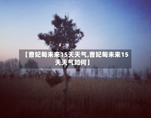 【曹妃甸未来15天天气,曹妃甸未来15天天气如何】