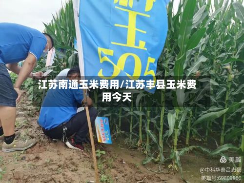 江苏南通玉米费用/江苏丰县玉米费用今天-第2张图片