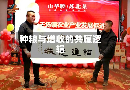 种粮与增收的共赢逻辑-第3张图片