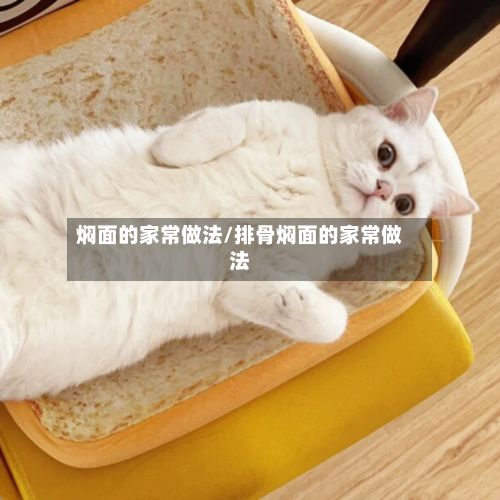 焖面的家常做法/排骨焖面的家常做法-第2张图片